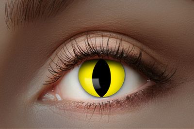Lenzen  maand UV Flash Yellow Cat
