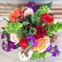 X-Large Basic Seasonal Blooms