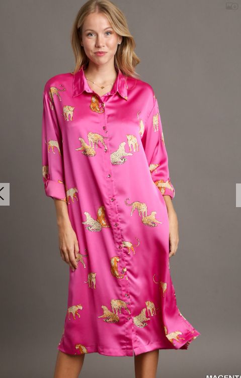Long Sleeve Cheetah Print Long Dress