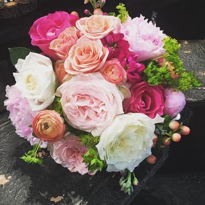 X-Large Modest Seasonal Blooms X-Large Modest Seasonal Blooms