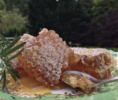 Honeycomb 6oz