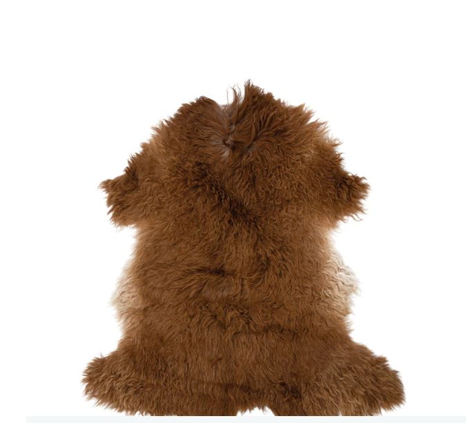 Two Toned New Zealand Lamb Fur Rug, Brown