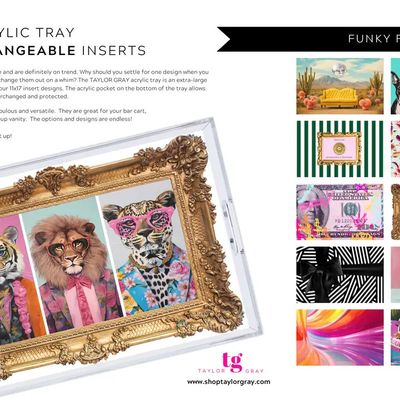 Funky Finds - Tray Insert