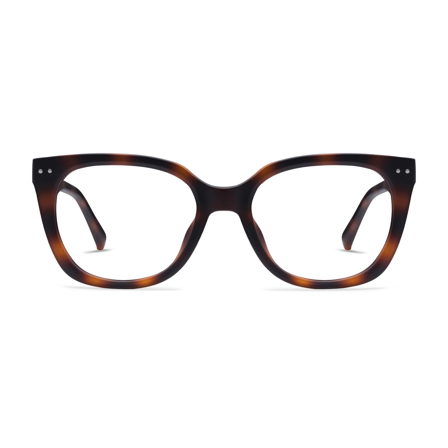 Evita Tortoise Readers - 1.5 mag