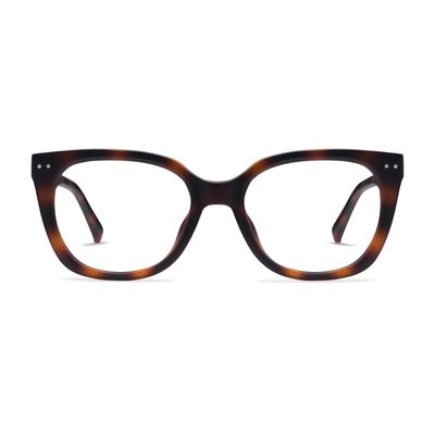 Evita Tortoise Readers - 2.5 mag