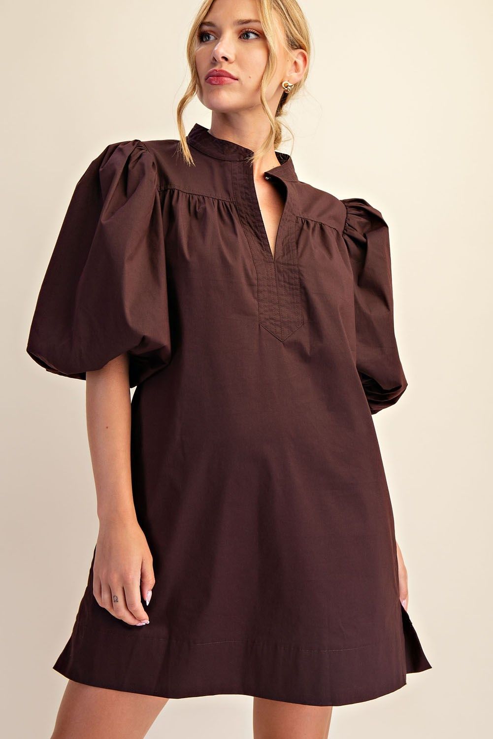 Mandarin Collar V-Neck Bubble Sleeve Mini Dress, Color: brown, Size: S