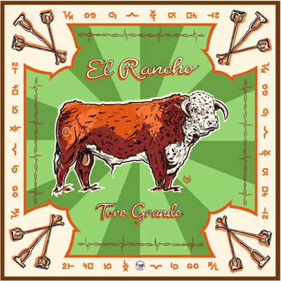 Toro Grande- Shorty 26&quot;x26&quot;