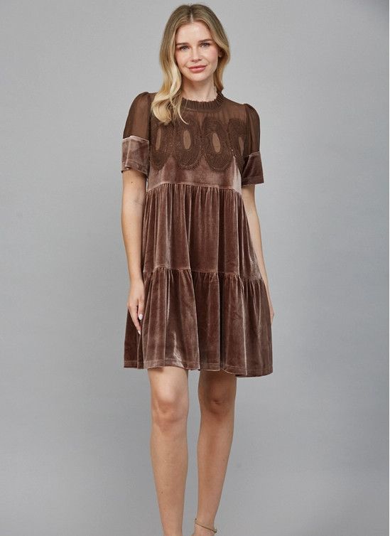 Contrast Sheer Mesh w/ Intricate Lace Detail Velvet