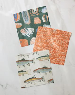 Happy Camper Dishcloth Set