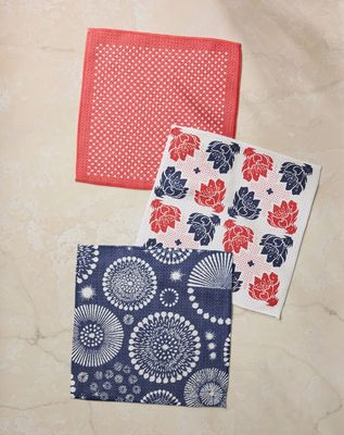 Talon Dishcloth Set