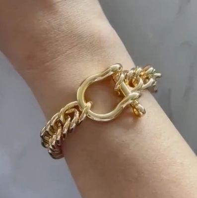 Horse Bit Carabiner Cuban Bracelet- Equestrian Steel Gold