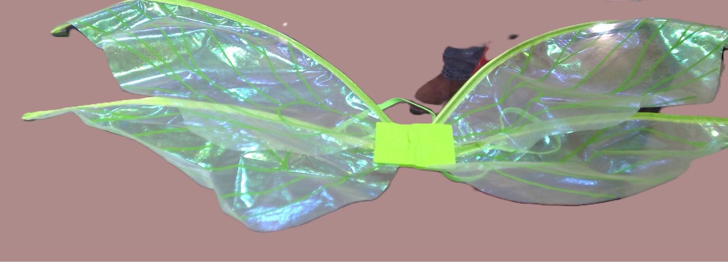 Butterfly Fairy wings Green cosplay