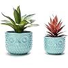 Owl  Planter, Teal Ceramic Planter Pots with Drainage, Set of 2