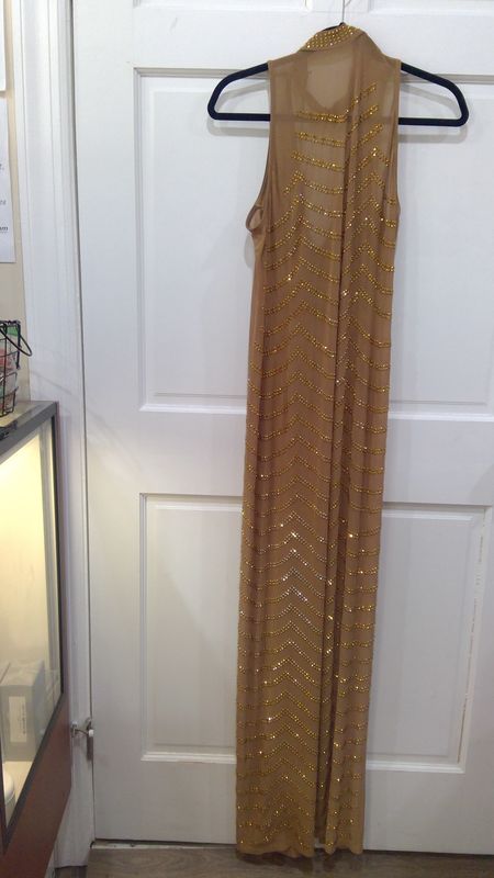 Elegant Bronze Long Dress