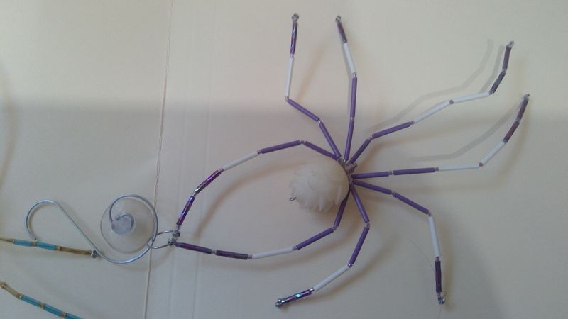 Spiders