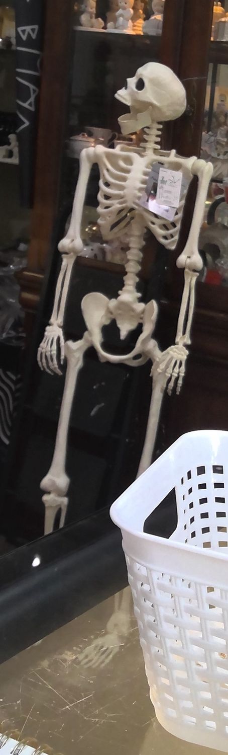 Glow in Dark Skelton 4 foot