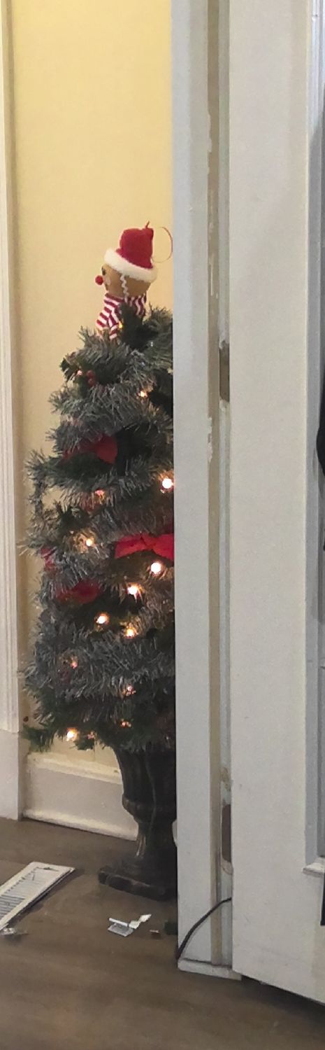 Christmas tree with poinsettias pre lite