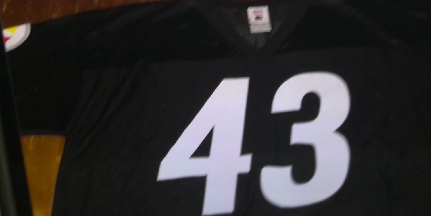 Nfl Players Troy Polamalu Jersey Size xl