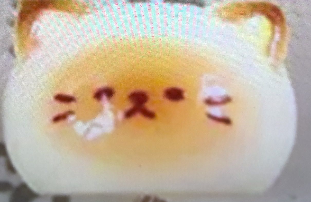 Cute Cat  Plush Phone  Charm Keychain