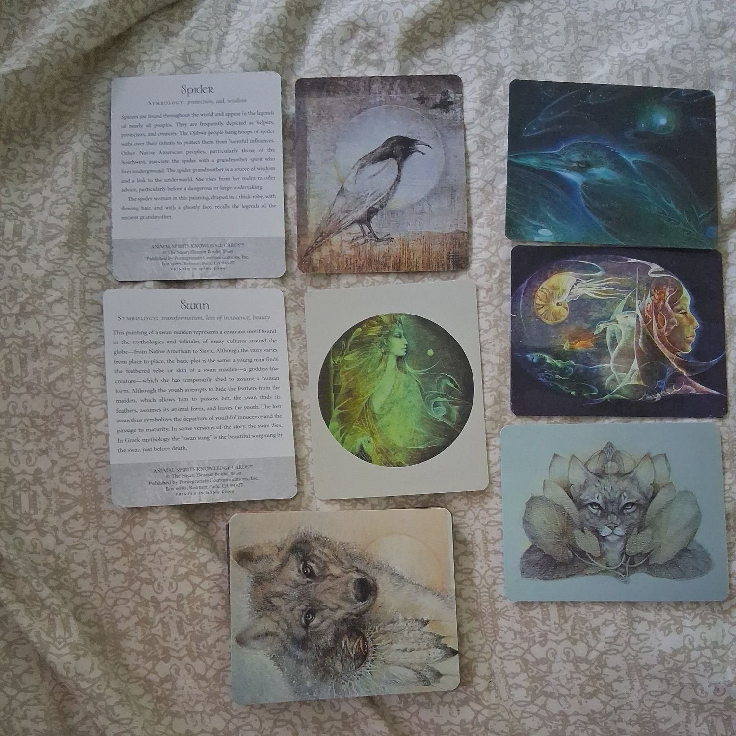 Animal Spirits Knowledge Cards (2001, 46/48 Cards) Animal Spirits Knowledge Cards (2001, 46/48 Cards)