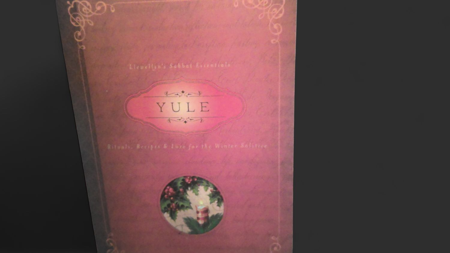 Yule Book Rituals Recipes &amp; Lore for Winter Solstice Sabbat Guidebook