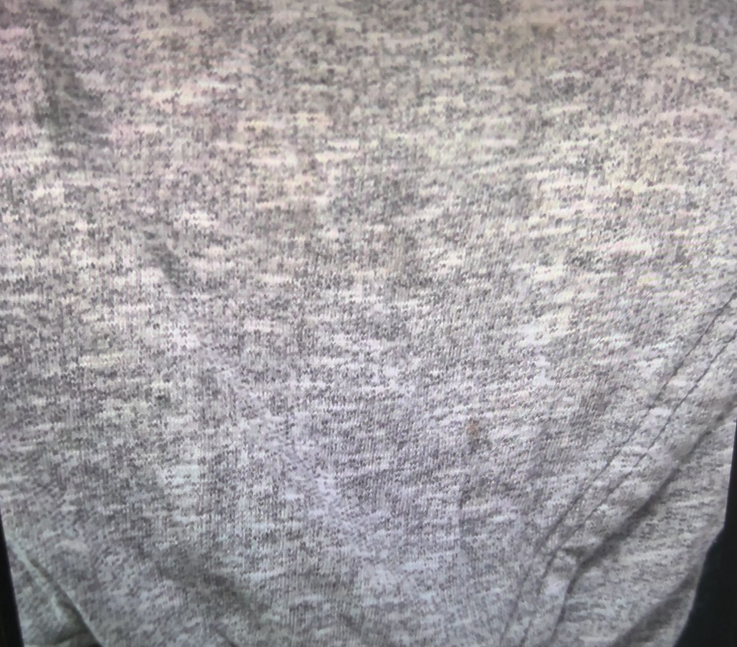 No Boundaries Gray Shorts Size M