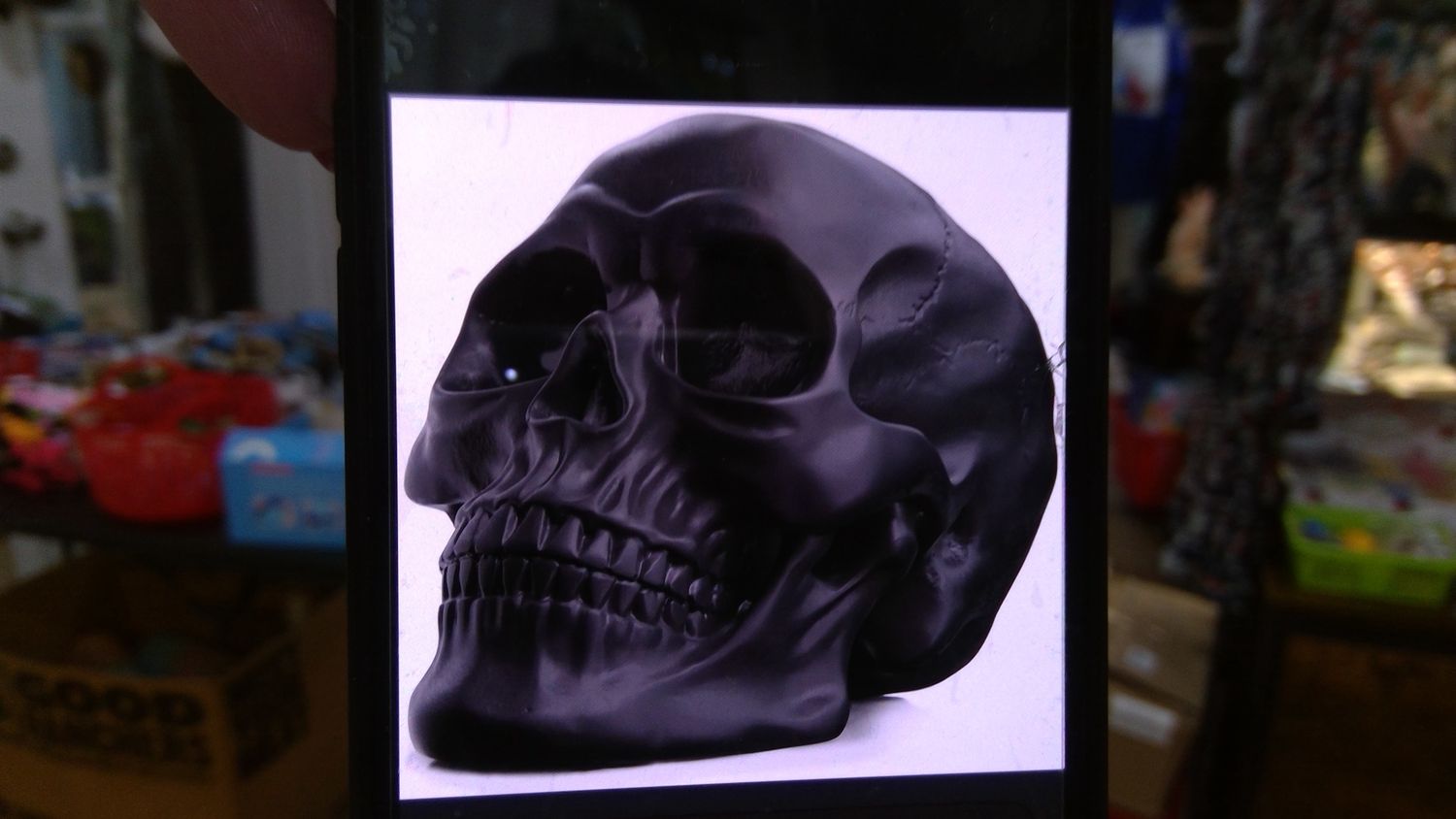 LYOU Human Skull Model