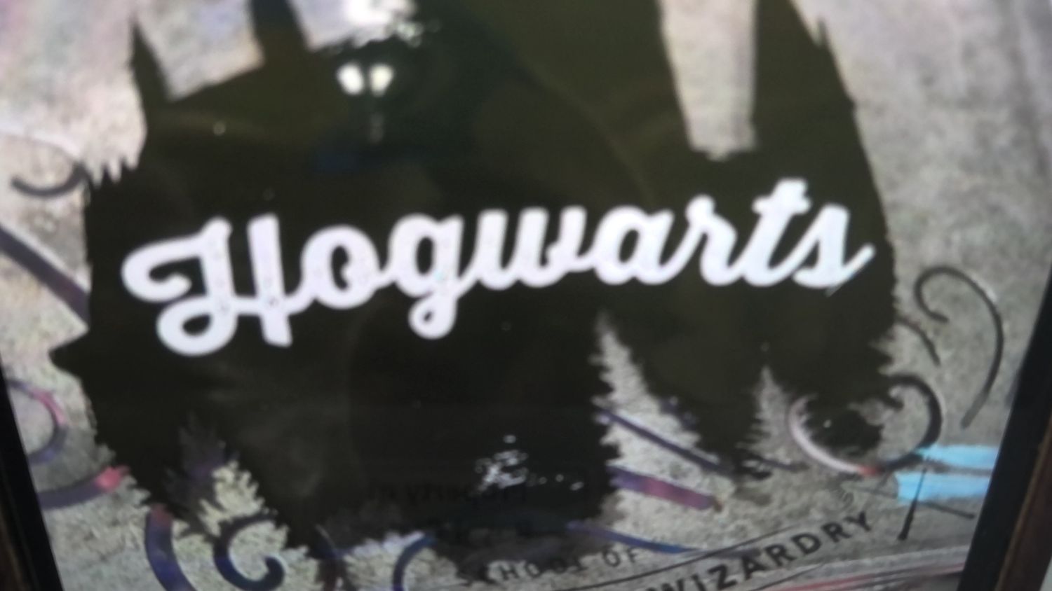 Harry Potter Hogwarts  CLear Plastic Zippered  Bag