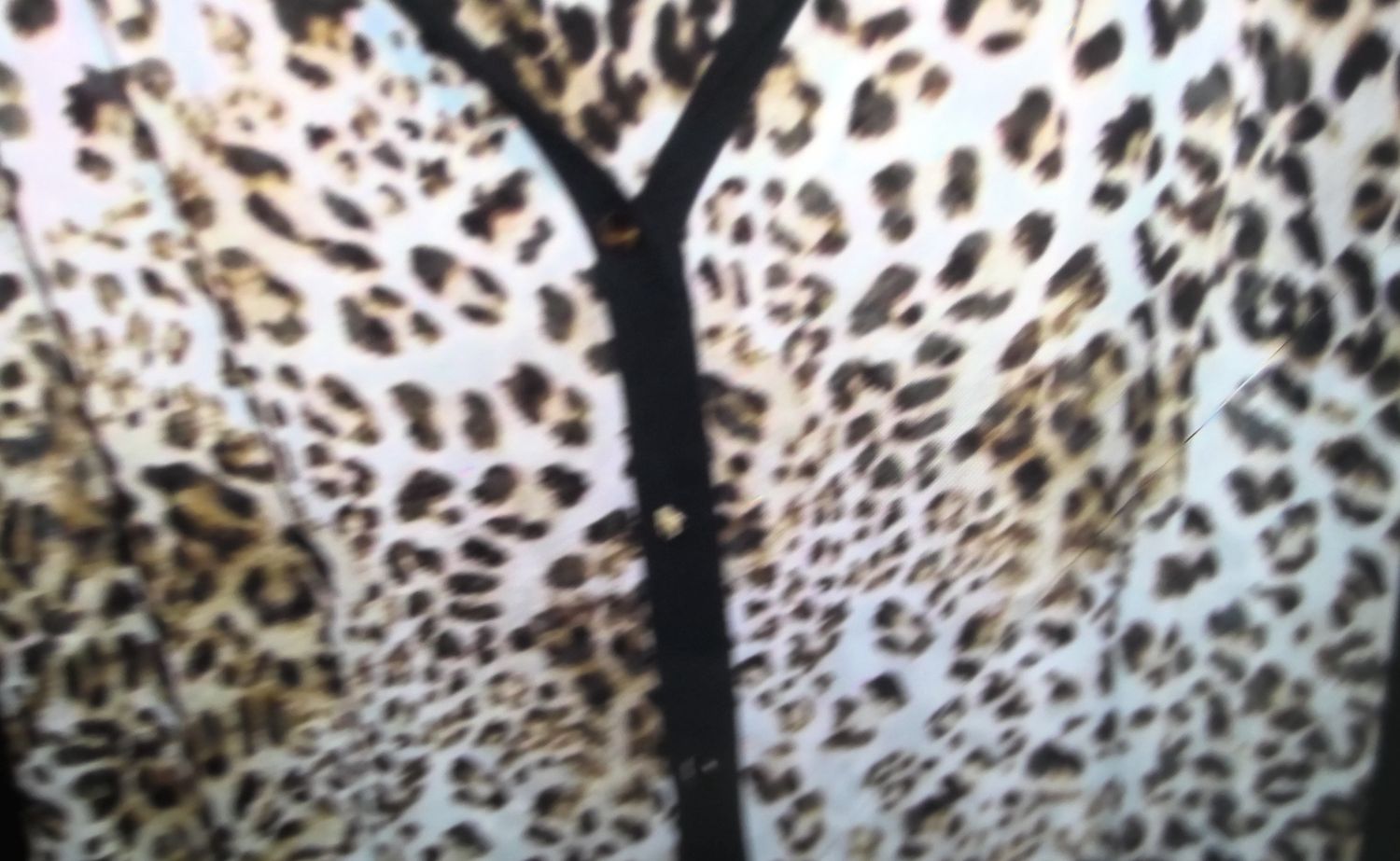 Jacklyn Smith  Leopard Sheer Print Top size s