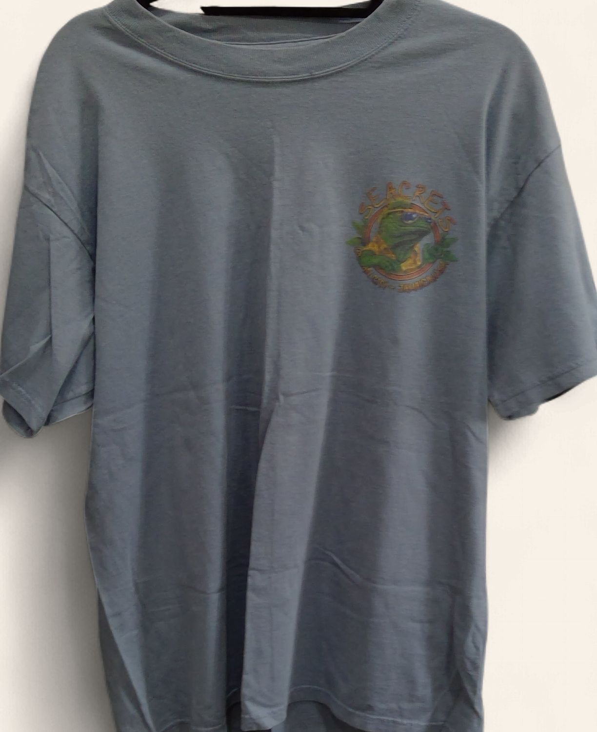 Gildan Light Blue T Shirt Seacrest On Left Side Size l Gildan Light Blue T Shirt Seacrest On Left Side Size l