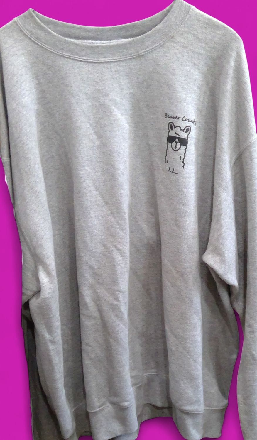 Champion Light Gray Sweatshirt SunglASSES Text Beaver County Size 2 xl Champion Light Gray Sweatshirt SunglASSES Text Beaver County Size 2 xl