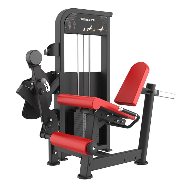 Leg Extension