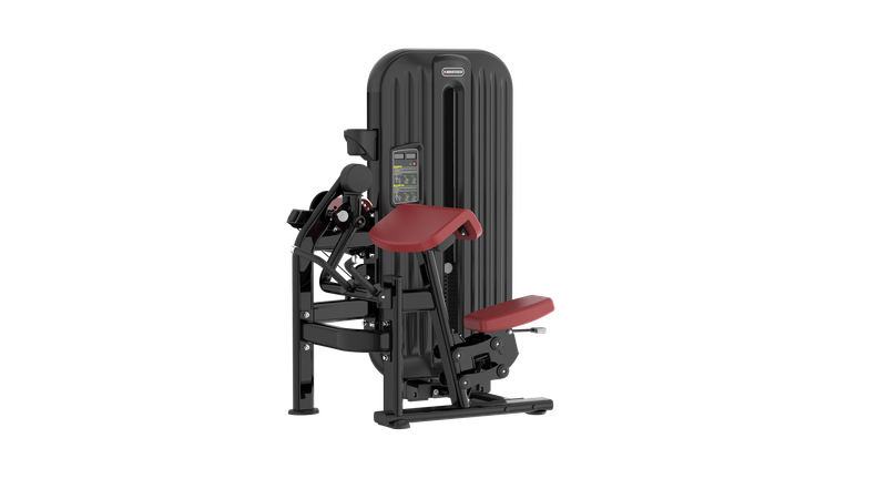 Biceps/Triceps