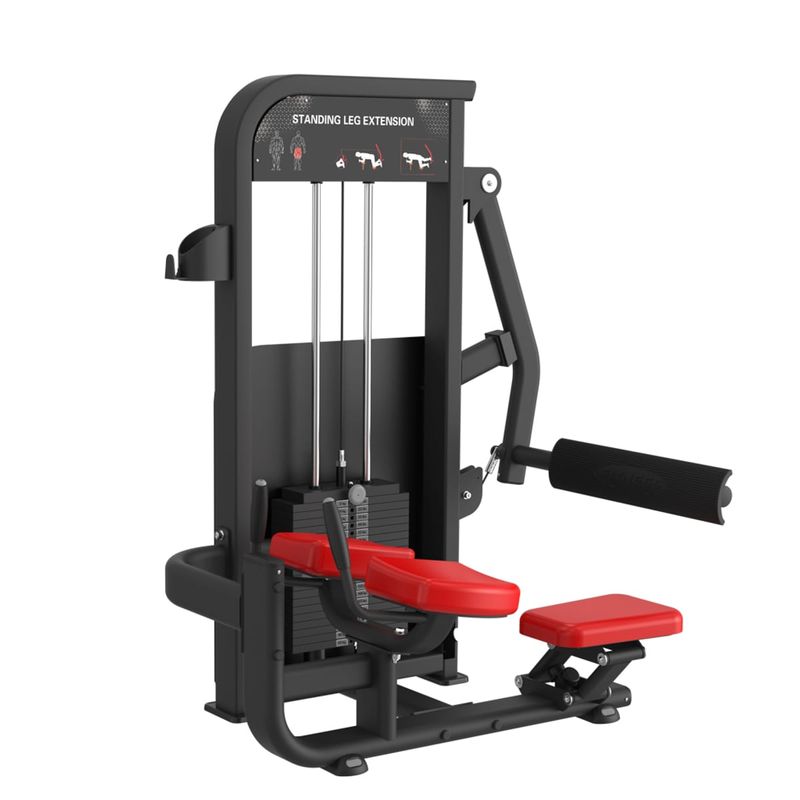 Standing Leg Extension