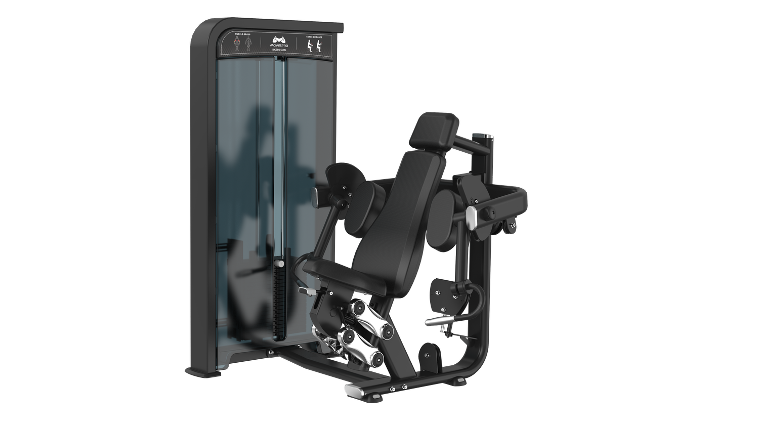 Biceps Curl
