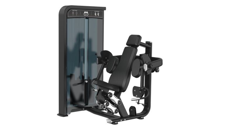 Biceps Curl