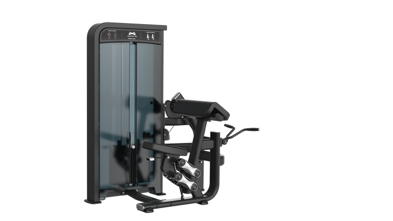 Biceps Curl