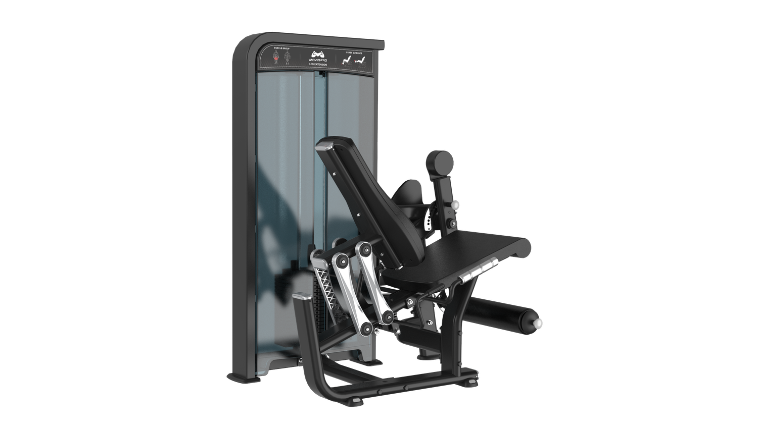 Leg Extension