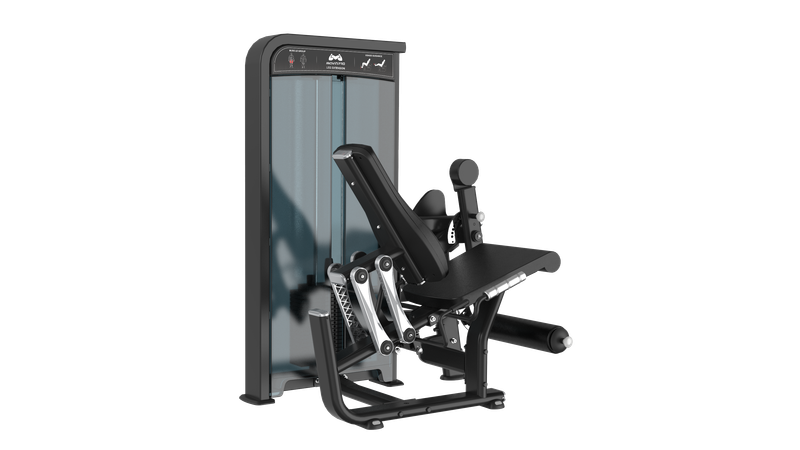 Leg Extension