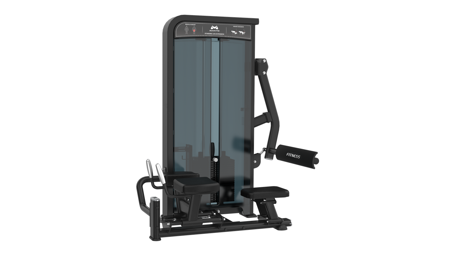 Standing Leg Extension