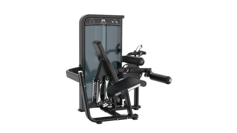 Seated Leg Curl