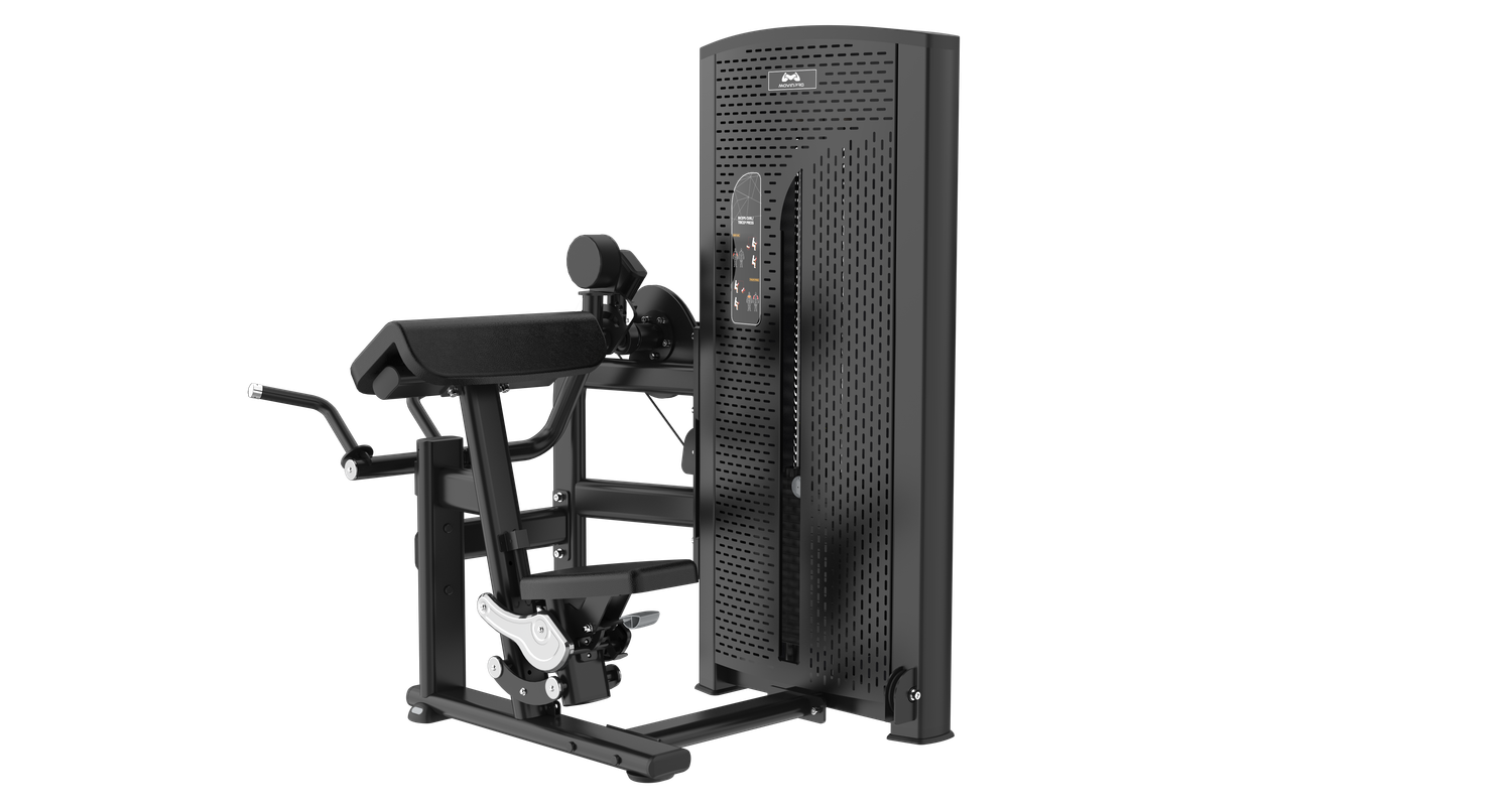 Biceps Curl / Triceps Press