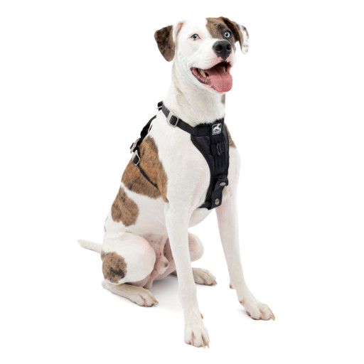 Kurgo Black Tru-Fit Smart Enhanced Strength Dog Harness Medium, Black