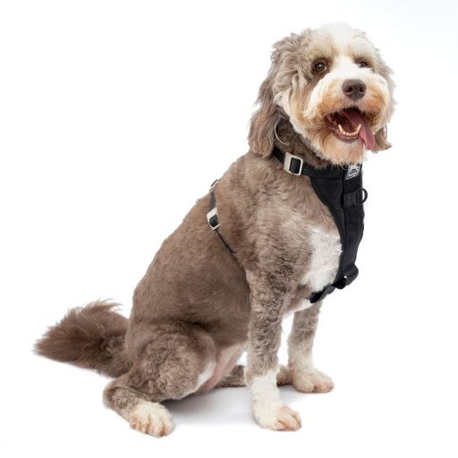 Kurgo Black Tru-Fit Smart Enhanced Strength Dog Harness Large, Black