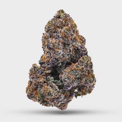 Lemon Cherry Gelato