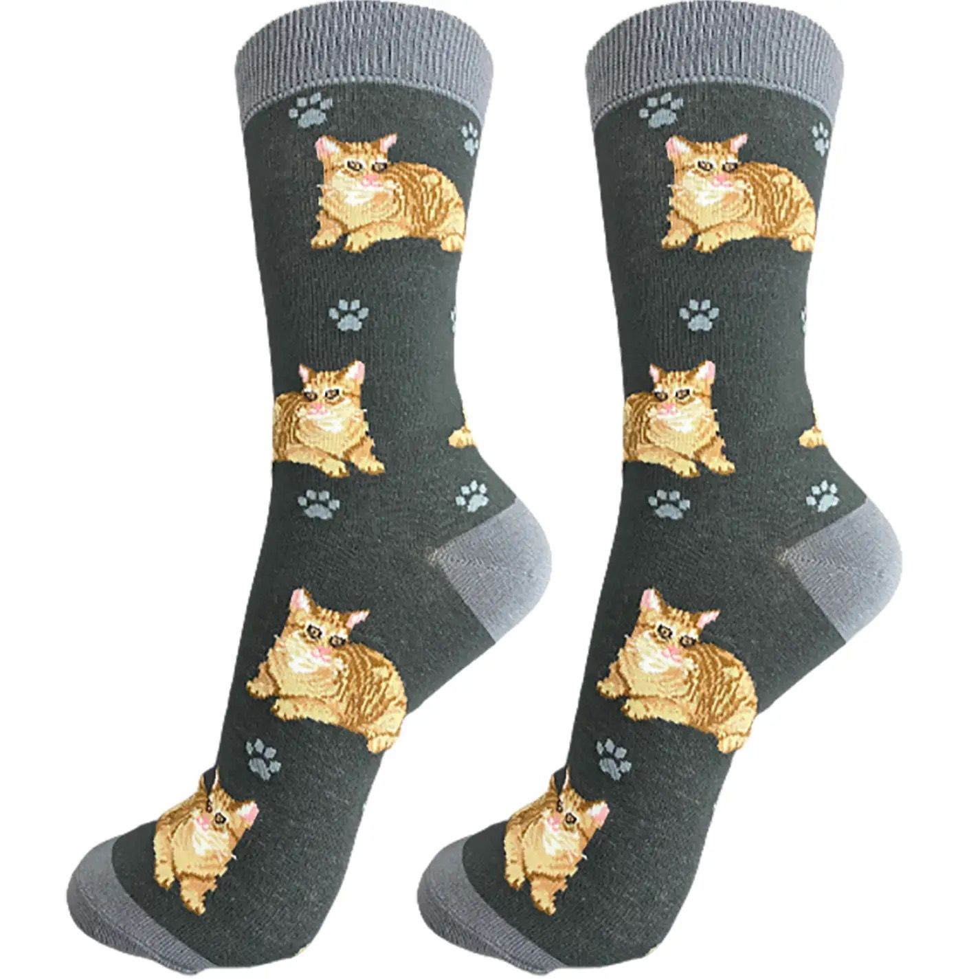 Orange Tabby Cat Socks
