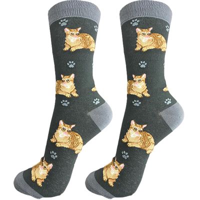 Orange Tabby Cat Socks