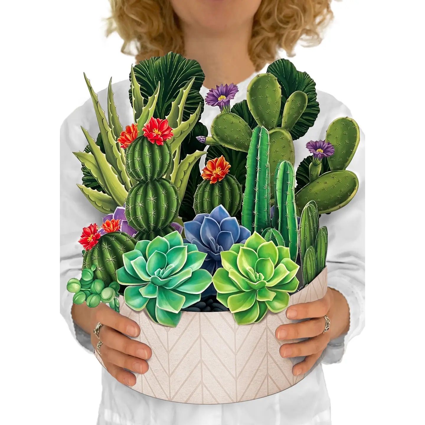 Catus Garden Pop Up Card