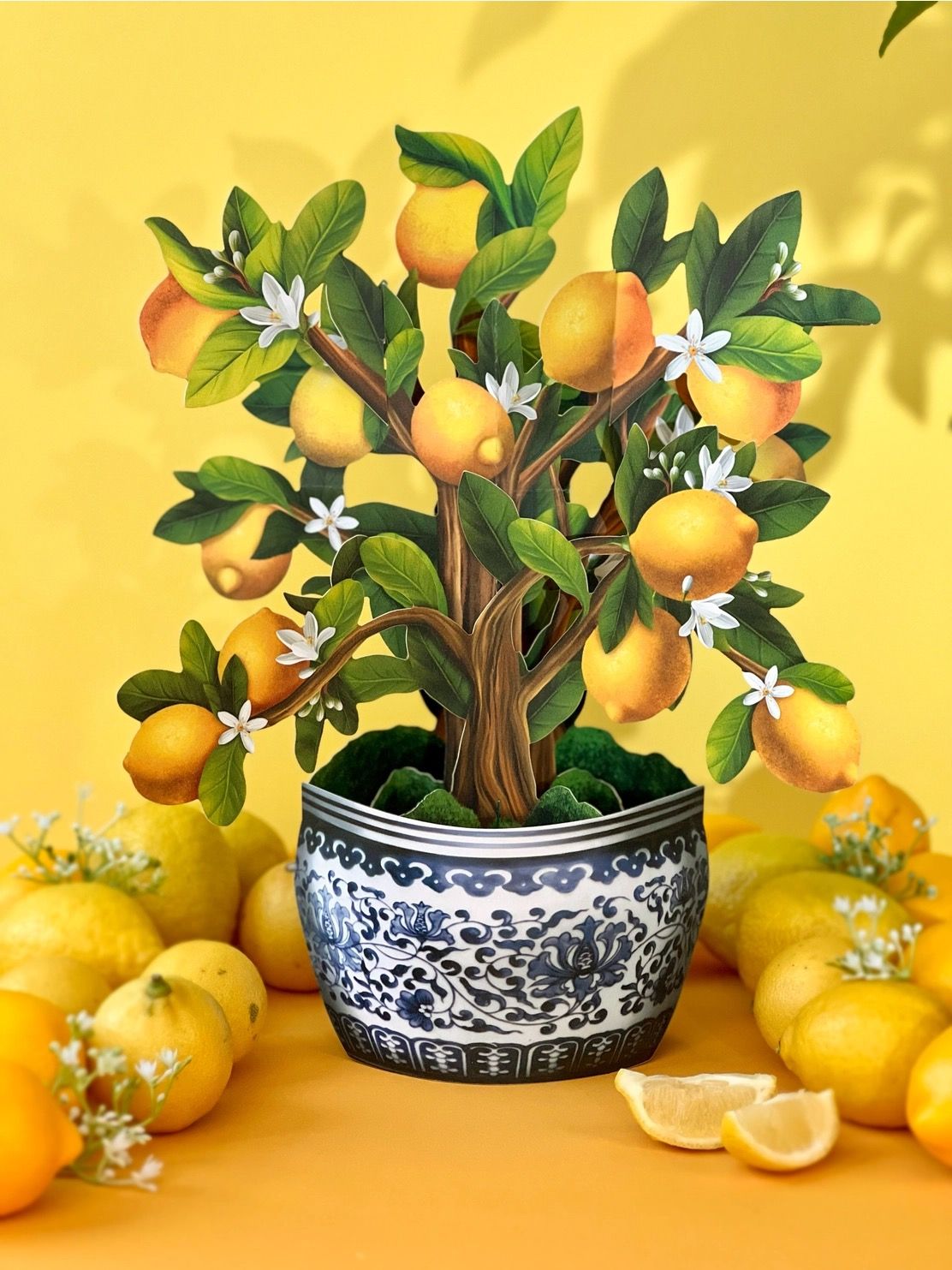 Lemon Blossom Tree Pop Up Card
