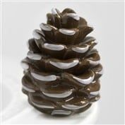 MINI&#39;S PRETTY PINECONE